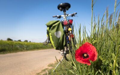 Logiciel pour la location de vélos / Planning de location de vélos