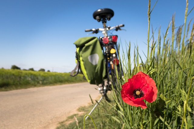 Logiciel pour la location de vélos / Planning de location de vélos